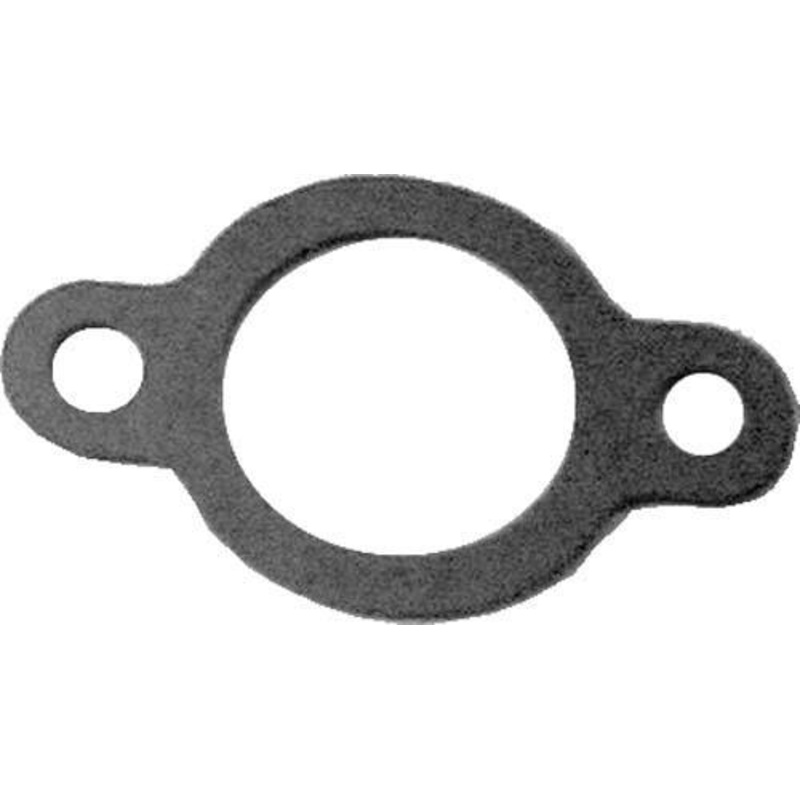 Club Car DS / Precedent FE290/FE350 Intake Gasket (Years 1992-Up) PN# 4794