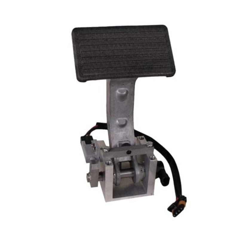 BRAKE PEDAL ASSY.(ELECT)-EZGO RXV