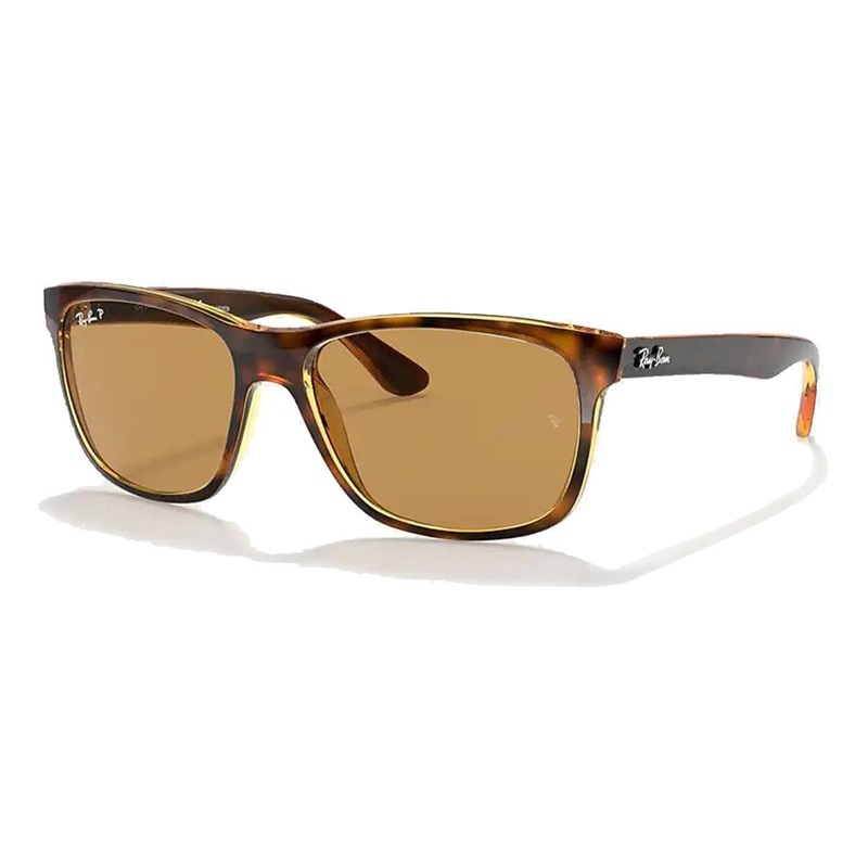 Ray-Ban RB4181 – Tortoise/Brown Classic B-15